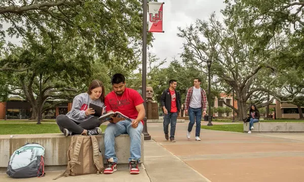 students-studying-in-quad